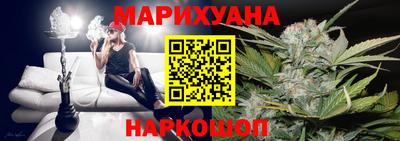 сатива Новодвинск