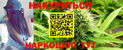 сатива Новодвинск
