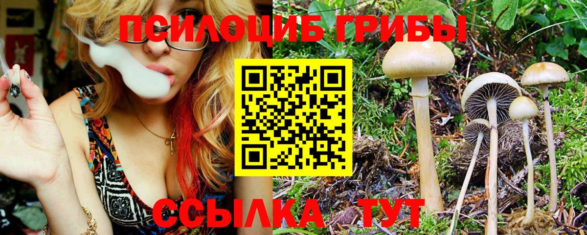 Шарыпово  Галлюциногенные грибы мицелий  Вход с VPN 