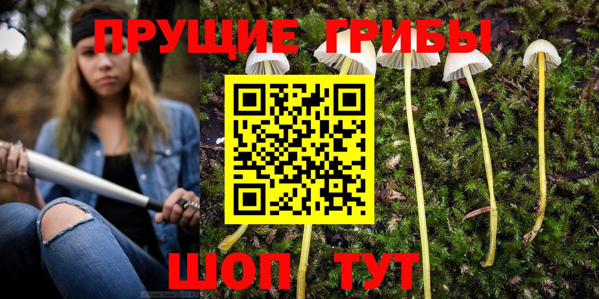 Псилоцибиновые грибы ЛСД Шарыпово